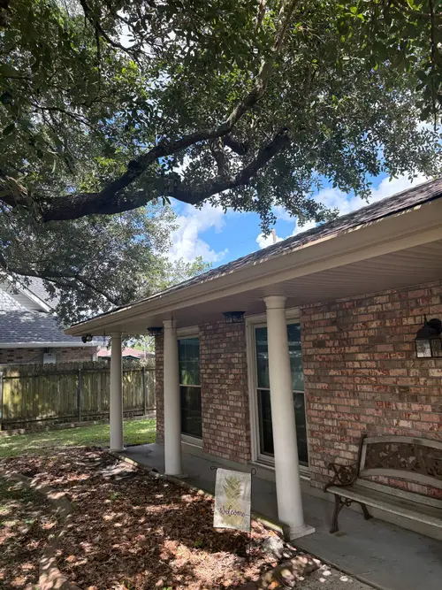 tree branch close to house