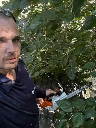 Peter Saparito, owner of Affordable Tree Service, holding a chainsaw among green leaves.