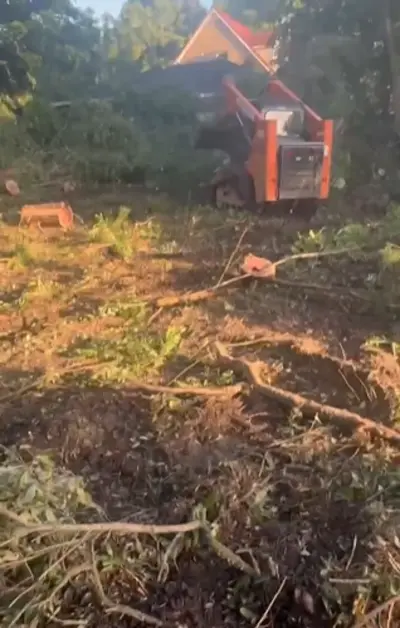 A land clearing machine in action, removing trees and debris from a site