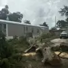 Fallen tree being removed from residential area