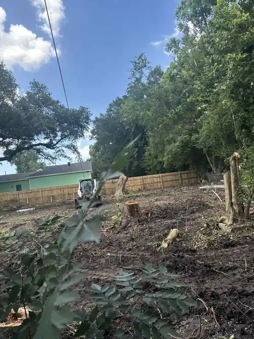 A view of a cleared land area in New Orleans, showcasing machinery and tree stumps.