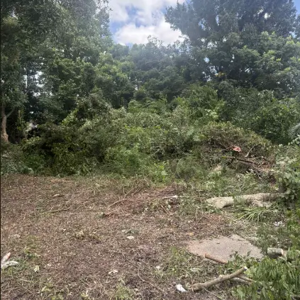 A view of a land clearing project showing cleared vegetation and debris.