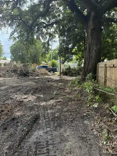A cleared land area in New Orleans with debris and a tree.