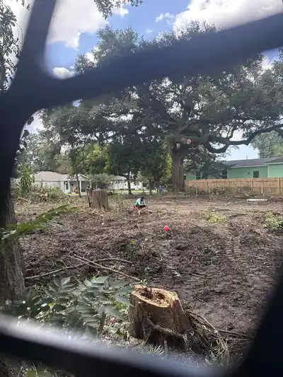 Land clearing process in New Orleans with a large tree in the background.