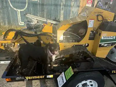 Stump grinding machine on a trailer with a dog