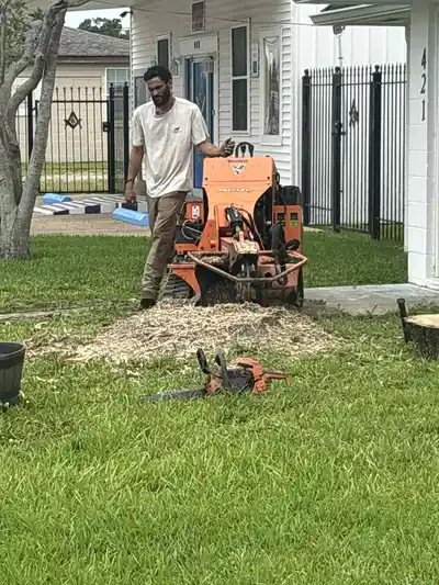Worker operating stump grinder to clear yard of tree stumps.