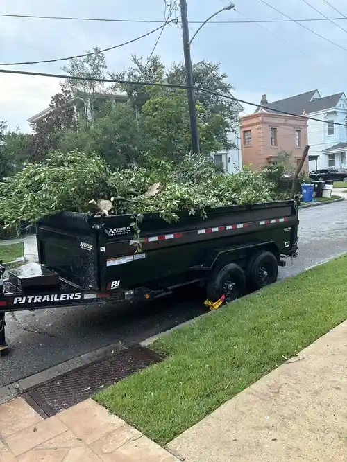 tree-removal-service-trailer
