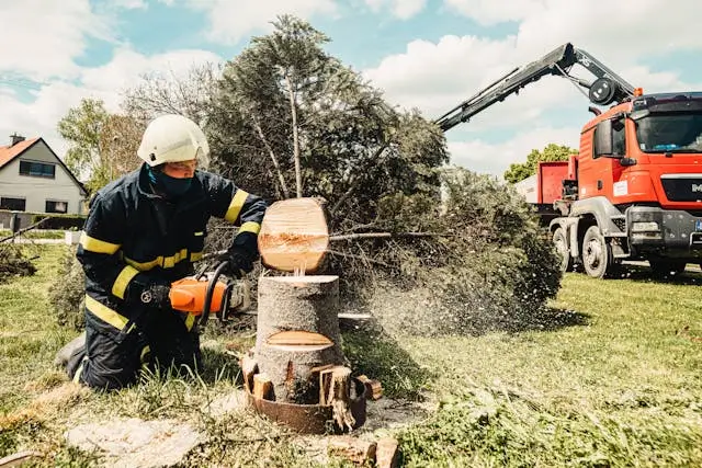 tree service expert cutting down tree