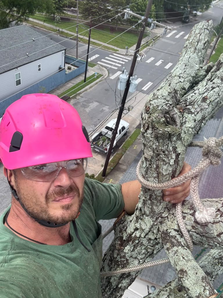 Our tree service crew at work